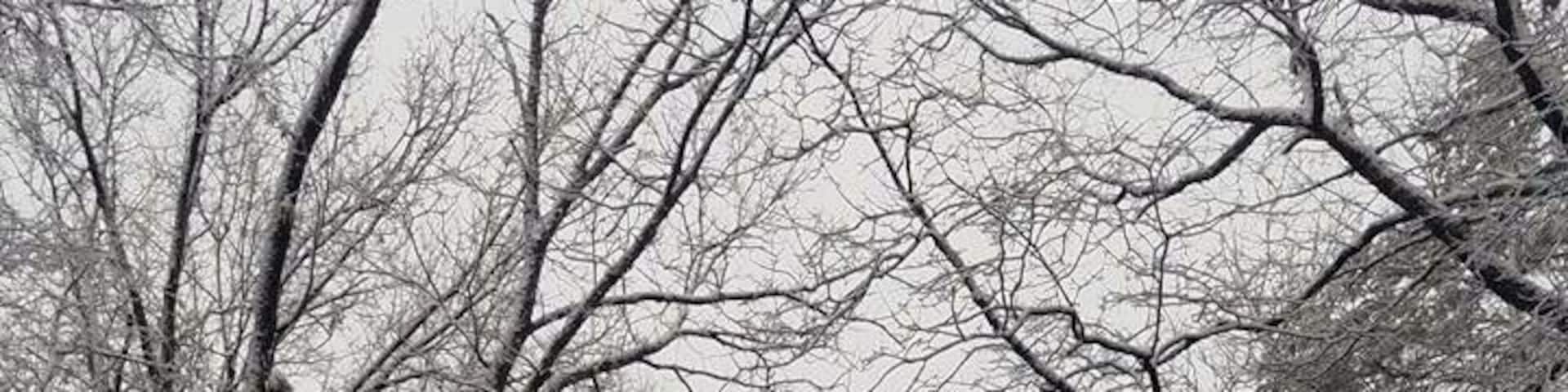 Paris mountain state park...an nature oasis right next to the city.