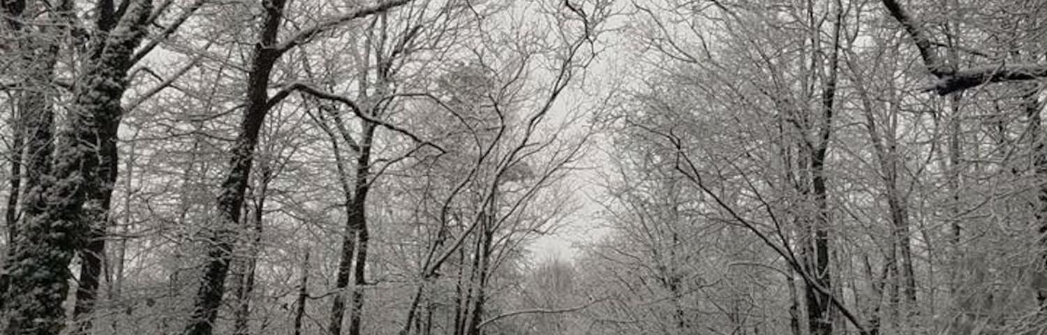 Paris mountain state park...an nature oasis right next to the city.