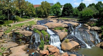 I was surprised to see this waterfall in the middle of the city! #parks #nature #southcarolina #waterfall