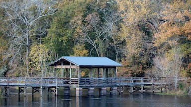 covered bridge on a pond