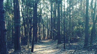 Seeking that new trail...