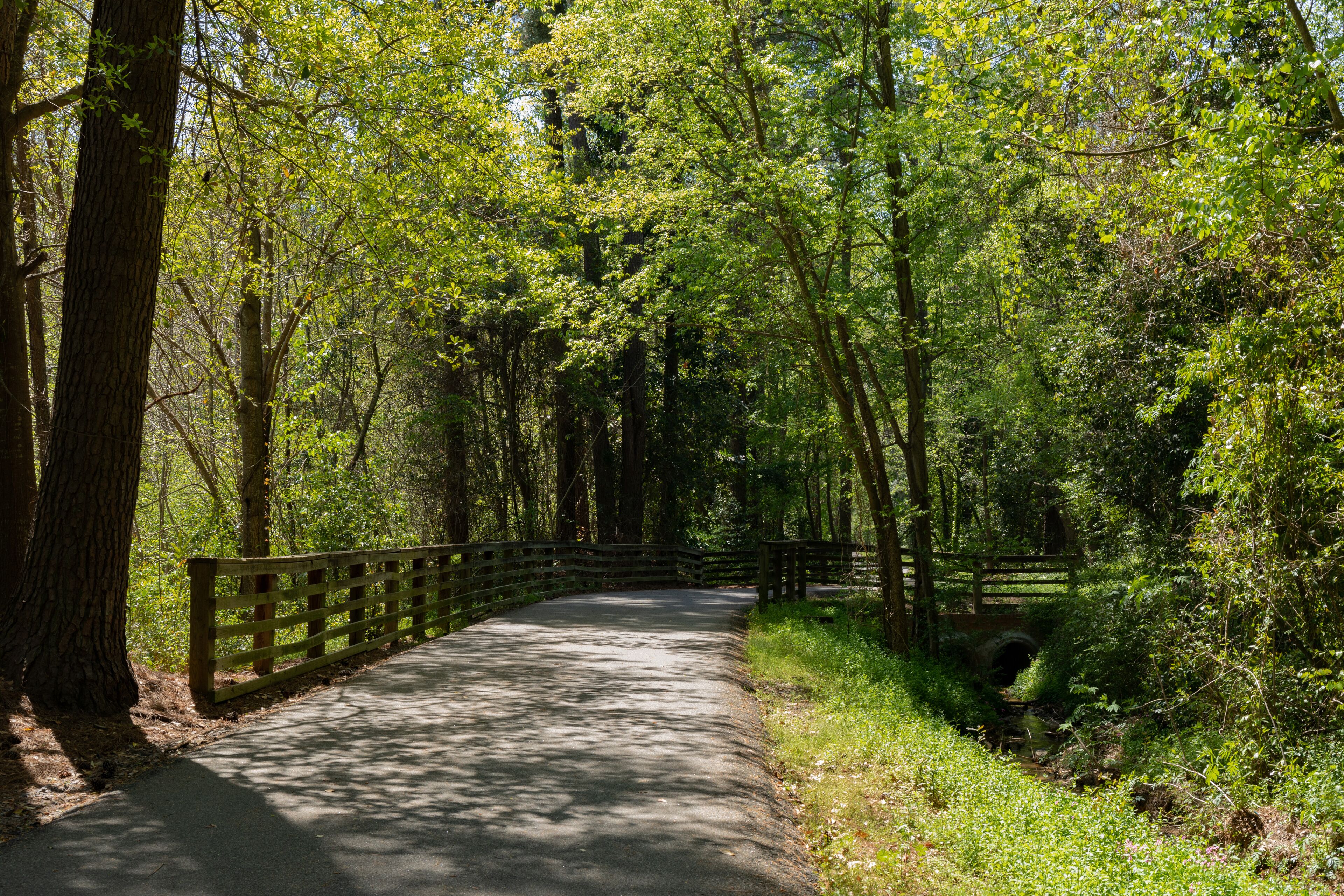Paved path through a heavily wooded greenway, fencing and drainage ditch flanking the path, North Augusta South Carolina, horizontal aspect