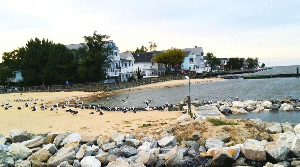 Beautiful town and beach along the Chesapeake Bay in northern Calvert County Maryland.