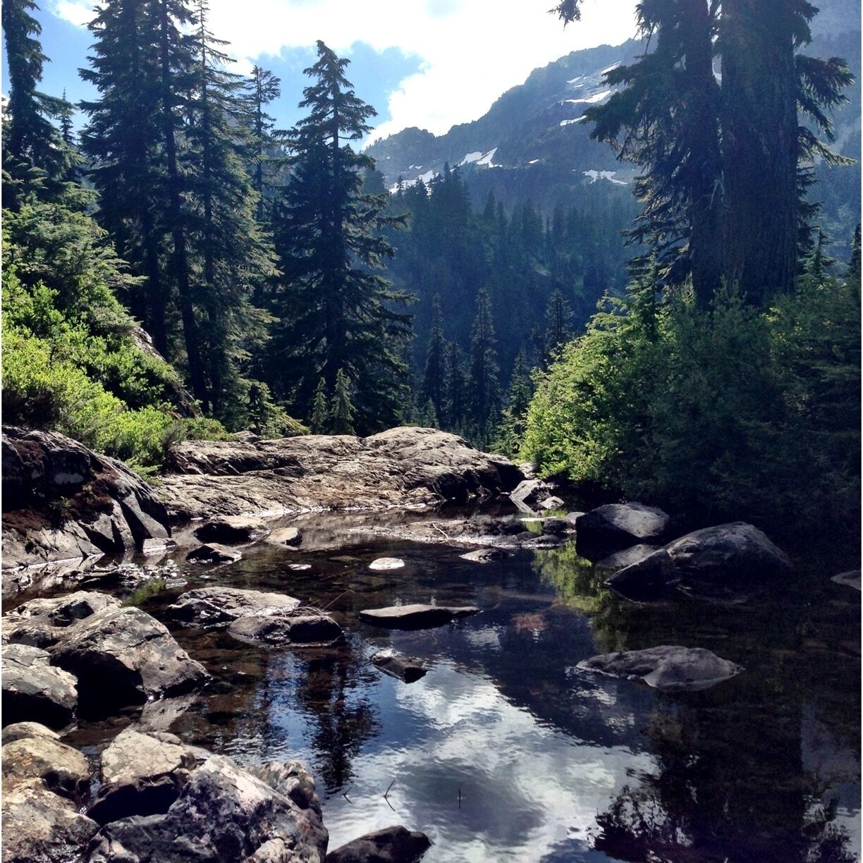 On this hike to Snow Lake we took a fortuitous turn which led to three beautiful pools along a gently flowing creek. We explored for over and hour and saw no one else, in stark contrast to the multitudes we encountered along the trail up to the main lake. 

(3.5 miles to the ridge, .5 miles down to the lake edge). 1300 feet of elevation gain, perfect for my seven year old. 5700 footfalls down from the top of the ridge.