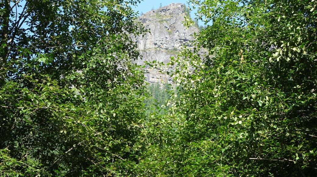 The bottom of the climbing trail.