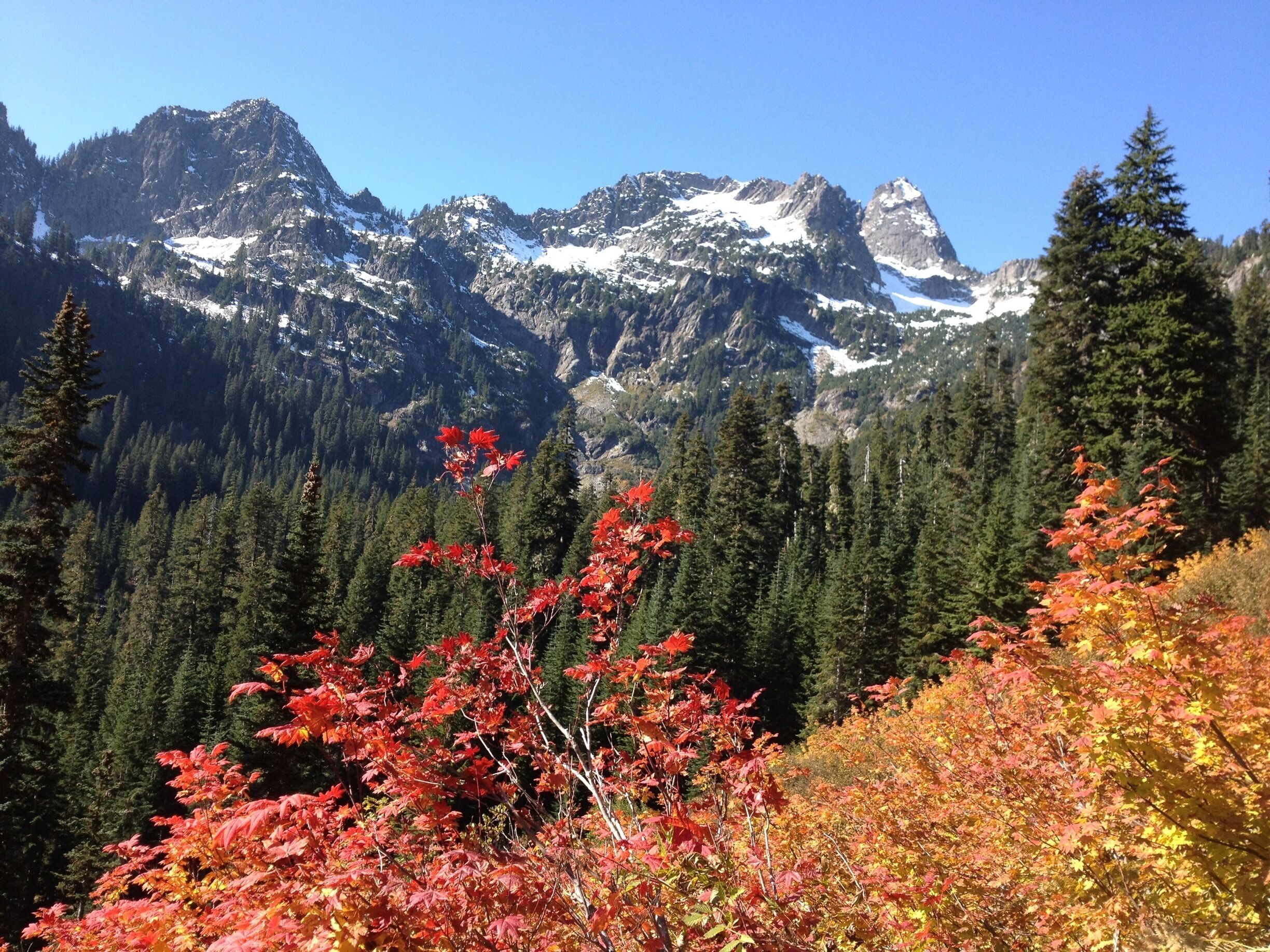 Snow Lake Trail view on a fall day.