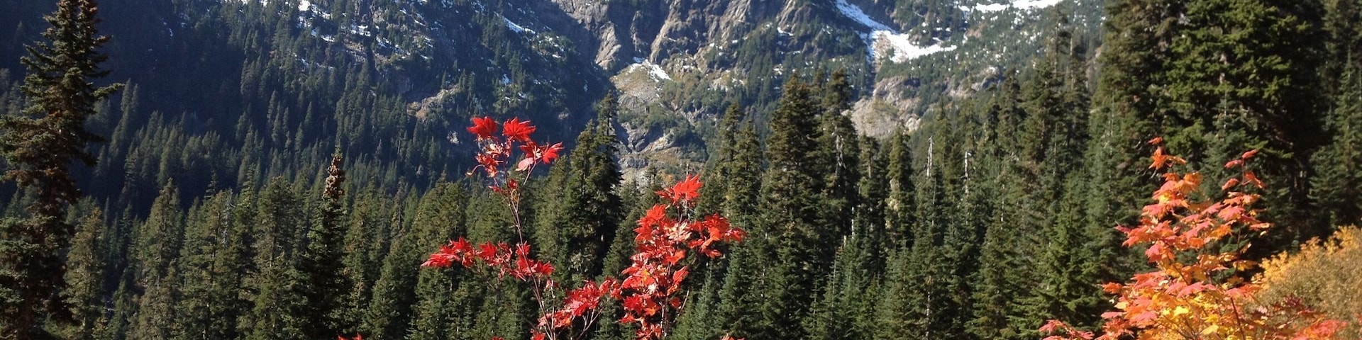 Snow Lake Trail view on a fall day.