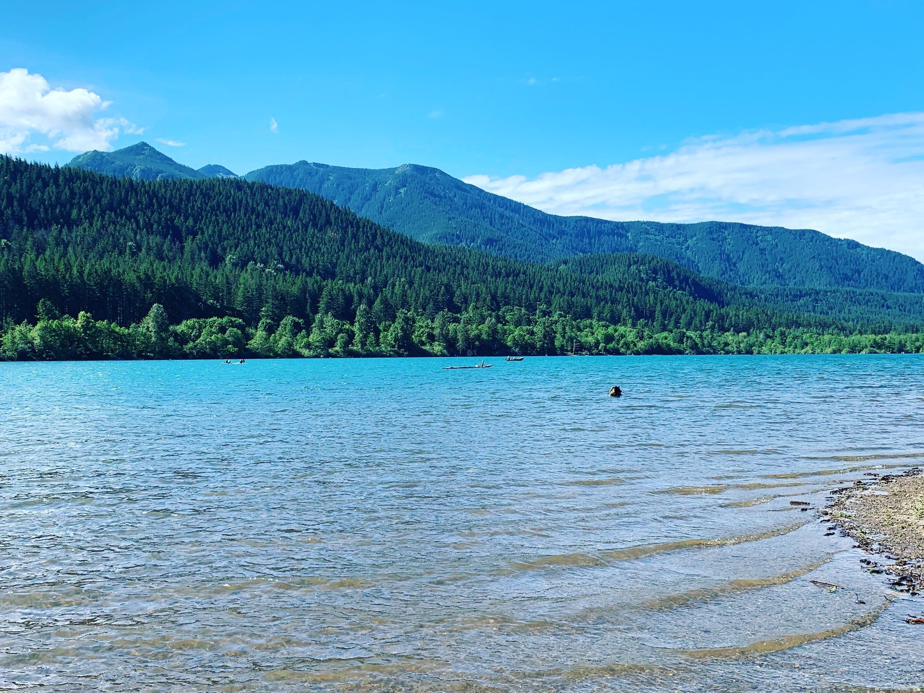 The PNW is so beautiful.