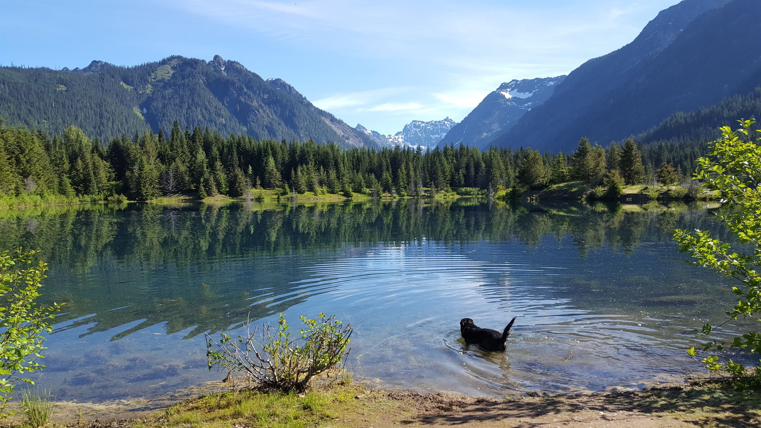 Easy paved hike around the pond, recommended for people (and dogs) of all ages. There is also a nice picnic area during summer months. 

#Green #Lifeatexpedia
