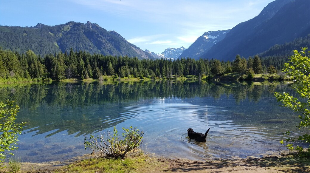 Easy paved hike around the pond, recommended for people (and dogs) of all ages. There is also a nice picnic area during summer months.
#Green #Lifeatexpedia