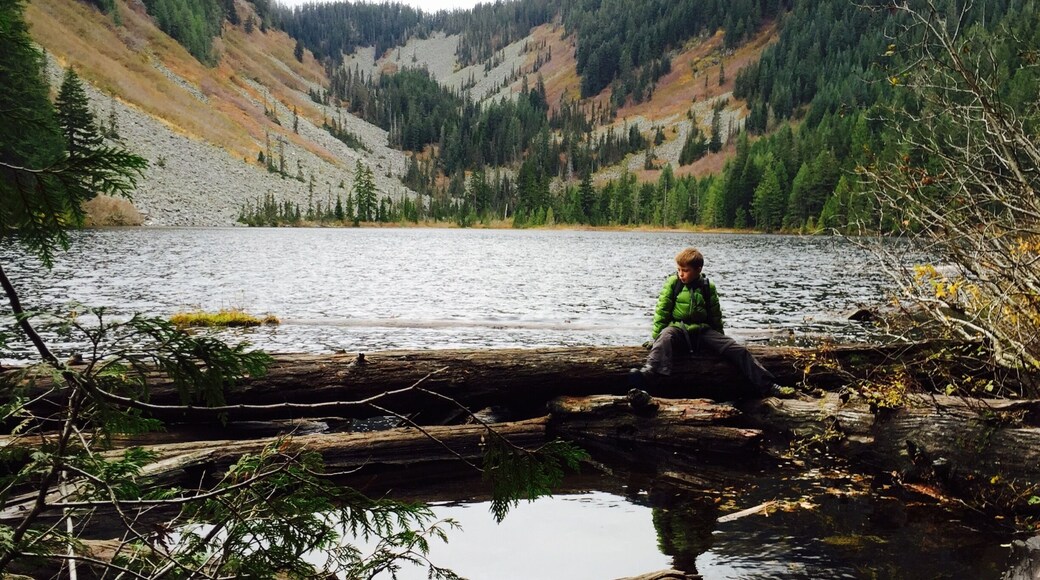 A two-mile trek through both old growth and second growth will take you to this charming little lake. Great for kids!
It was (much) too cold for swimming in November, but I bet it will be perfect for swimming when the air temperature isn't hovering around 40 degrees. There are a number of campsites here, plus more at Ollalie Lake which is just another 3/4 mile up the trail.
I think we caught the tail end of the hiking season for this trail this year, as I expect the trail to be covered with snow in a matter of weeks.