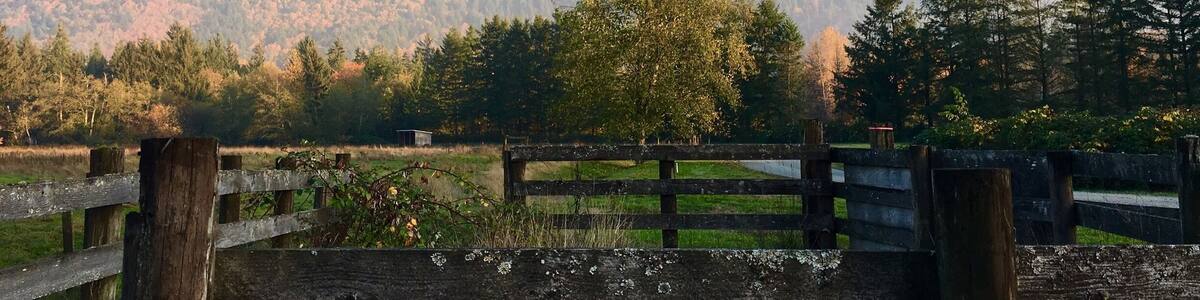 View of a slightly foggy Mount Si from a ranch near Rockwood Farm