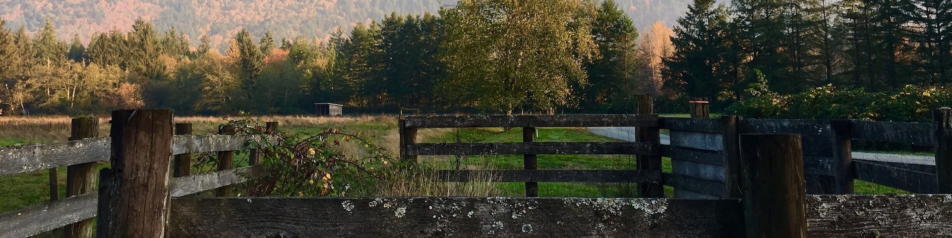 View of a slightly foggy Mount Si from a ranch near Rockwood Farm