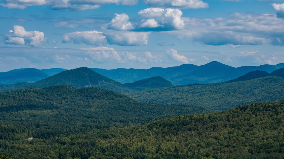 A mountainous landscape with dense forests and a clear sky with scattered clouds.