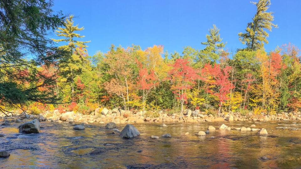 A river with clear water, surrounded by rocks and trees with autumn foliage.