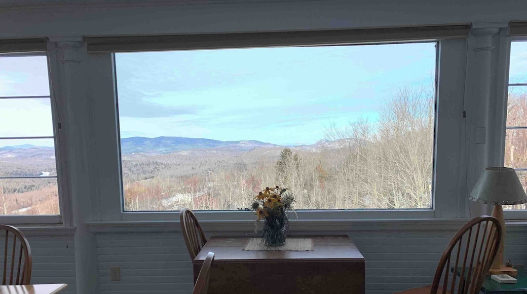 View from the dining porch at Highwinds at Barton mines. #adirondackpark #adirondacks #wonterwonderland #winter #newyork #upstatenewyork #weekendgetaway