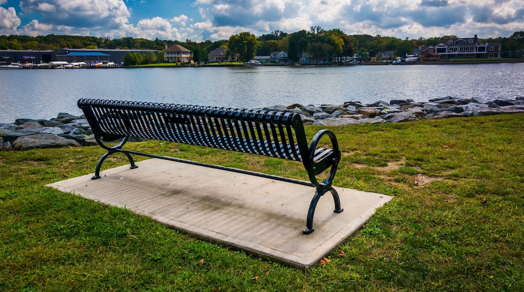 Bench along the shore of the North East River in North East, Mar