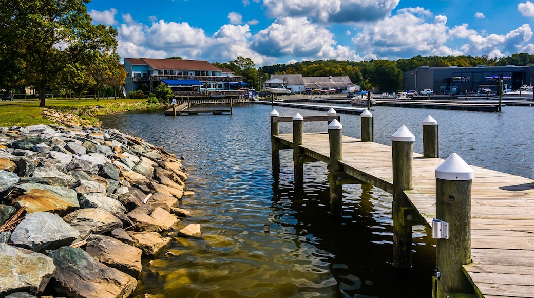 Dock at North East Community Park in North East, Maryland.