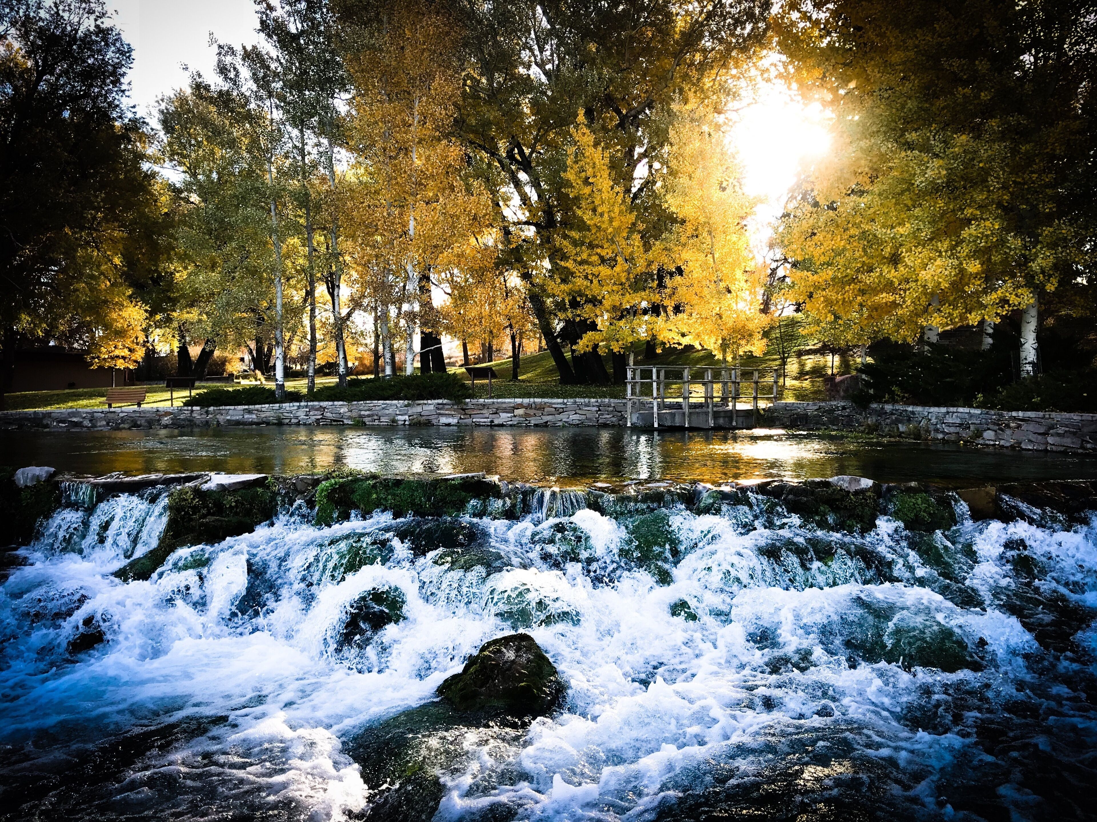 Giant Springs