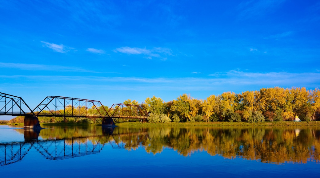 グレート フォールズ
