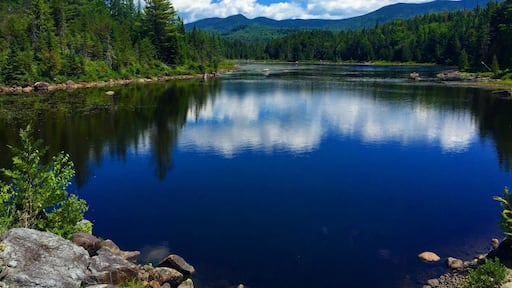 The road to #BoreasPonds has just recently been opened to foot traffic after the 22,000 acre tract of land was purchased by NYS. The walk in is fairly boring and can be grueling on a hot, buggy day, but the view of the ponds is spectacular. Now let's hope Gov. Cuomo designates this area as Wilderness #Adirondacks