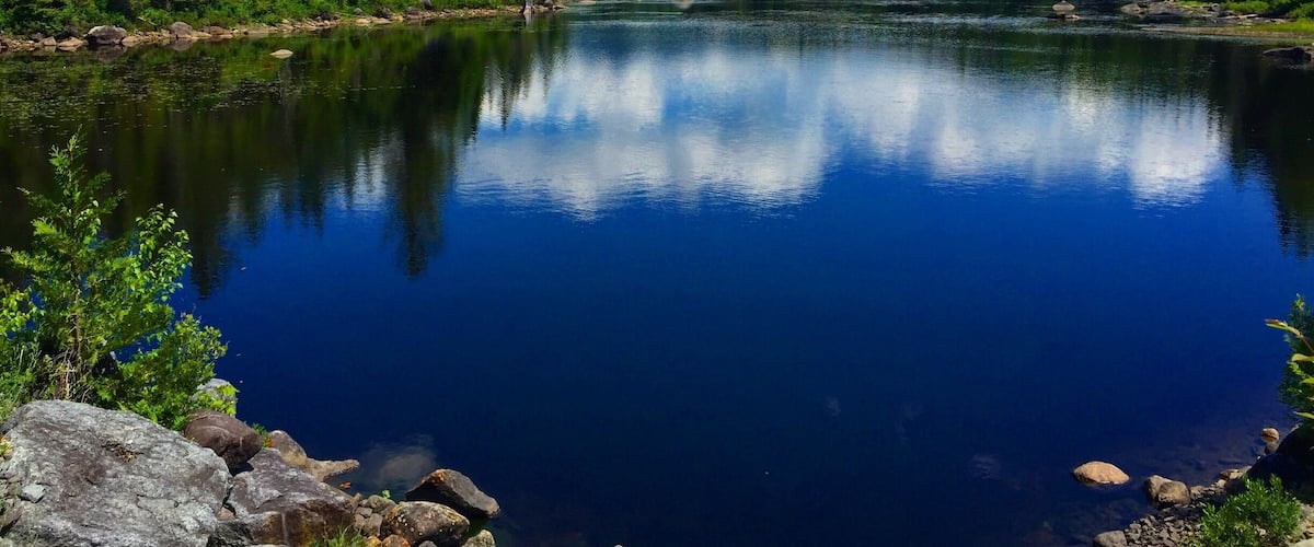 The road to #BoreasPonds has just recently been opened to foot traffic after the 22,000 acre tract of land was purchased by NYS. The walk in is fairly boring and can be grueling on a hot, buggy day, but the view of the ponds is spectacular. Now let's hope Gov. Cuomo designates this area as Wilderness #Adirondacks