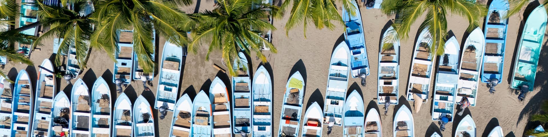 A beach with numerous small boats lined up along the shore, surrounded by palm trees.