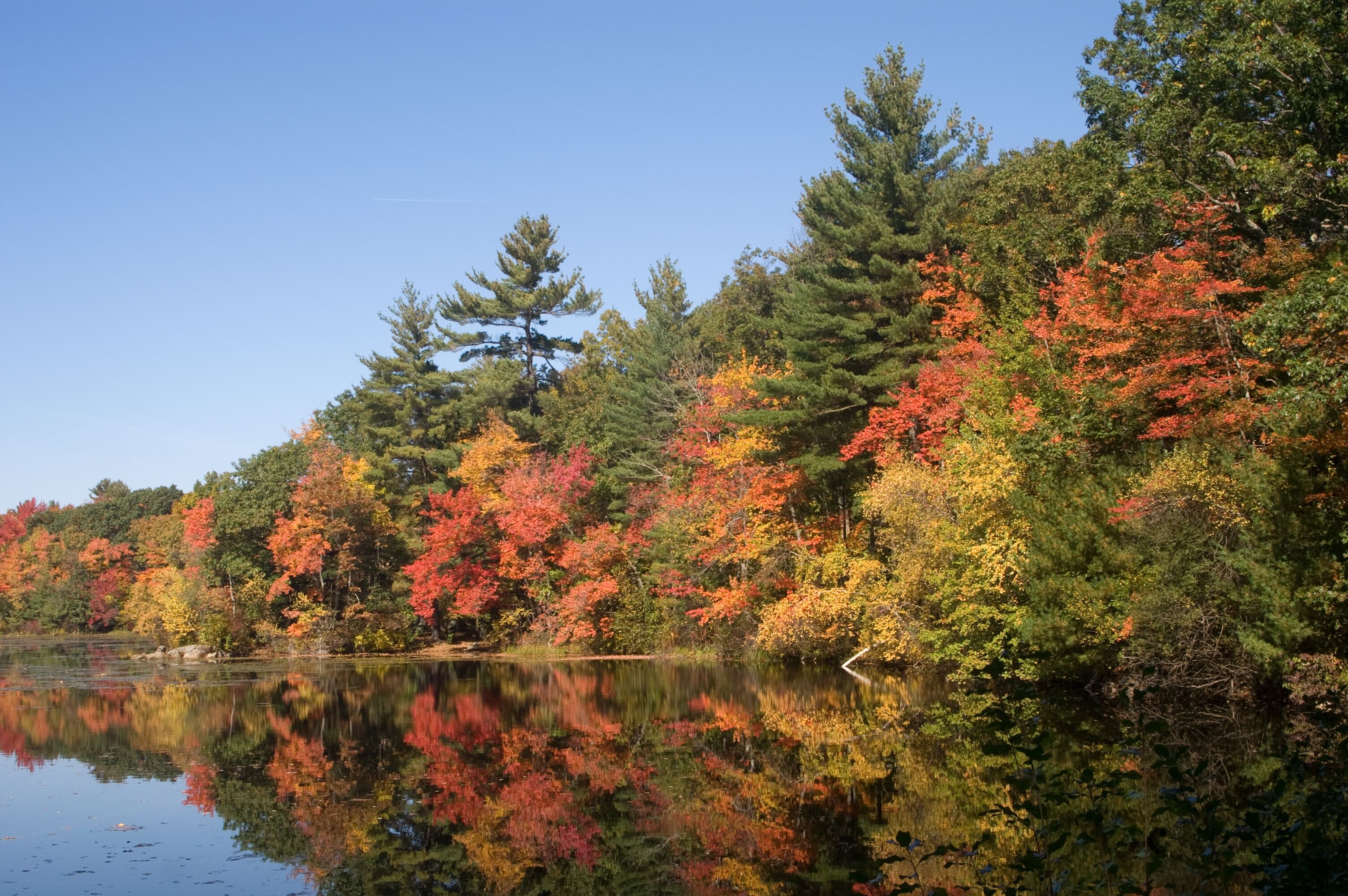 A lake surrounded by autumn-colored trees reflecting in the water.
