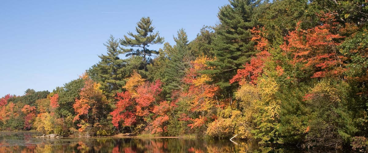 A lake surrounded by autumn-colored trees reflecting in the water.