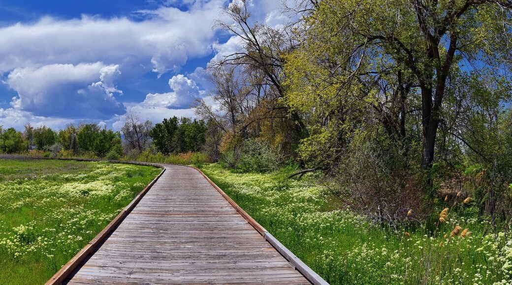 Jordan River Parkway Trail, Redwood Trailhead bordering the Legacy Parkway Trail, panorama views with surrounding trees and silt filled muddy water along the Rocky Mountains, Salt Lake City, Utah.
