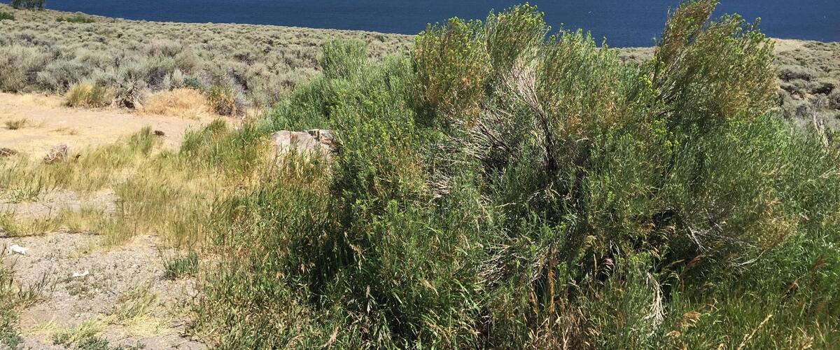 A lake surrounded by rocky hills and sparse vegetation.