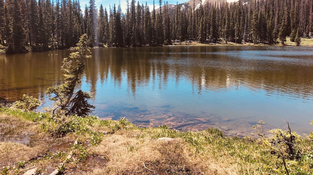 There was still quite a bit of snow up here in July! Gorgeous hike, straight out of “The Sound of Music!”