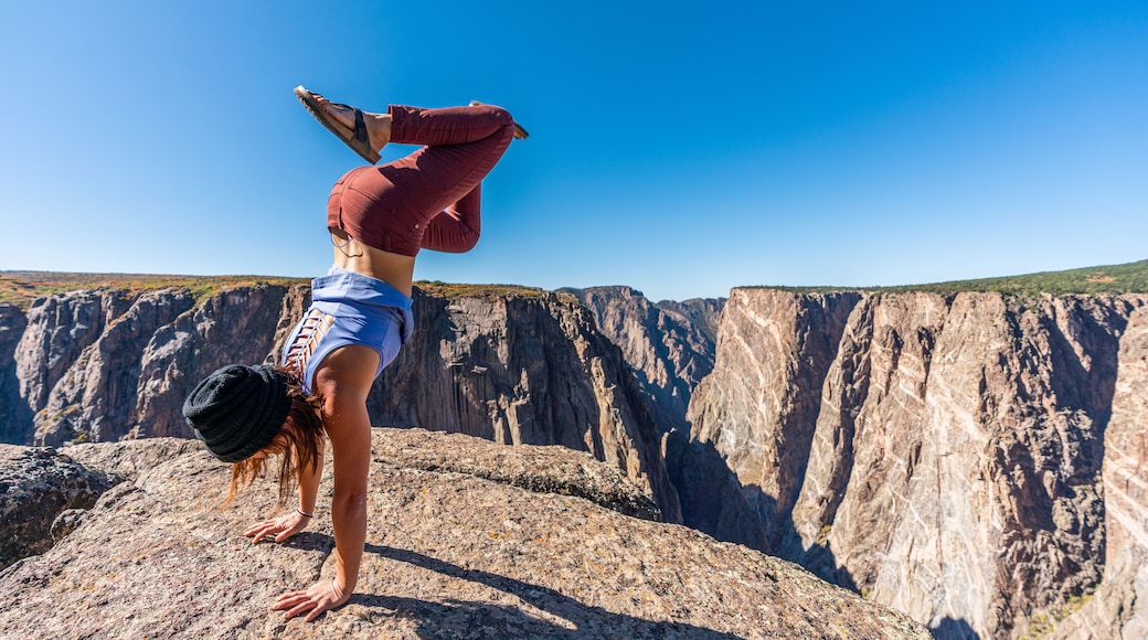 กันนิสัน