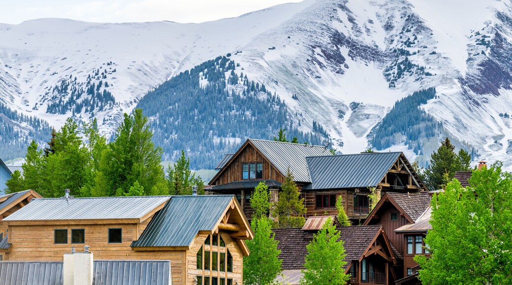 Mount Crested Butte, Colorado village in summer morning with hilldside houses on hills and Aspen green trees closeup