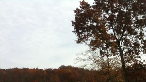 Some Fall time golf with great views