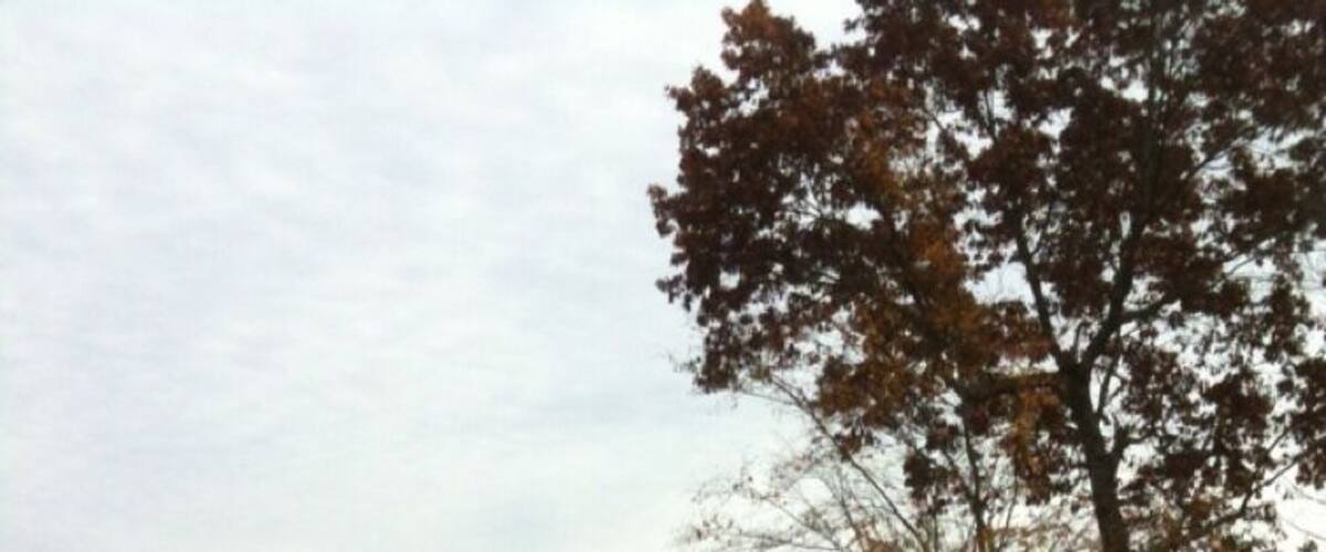 Some Fall time golf with great views