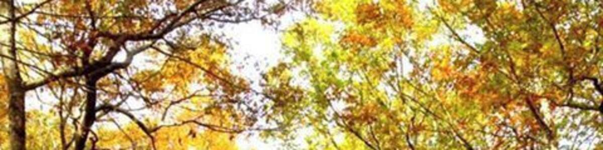 Now if this doesn't relax you then you're beyond help.