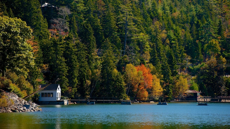 A lake surrounded by dense forest with a small house on stilts near the water's edge.