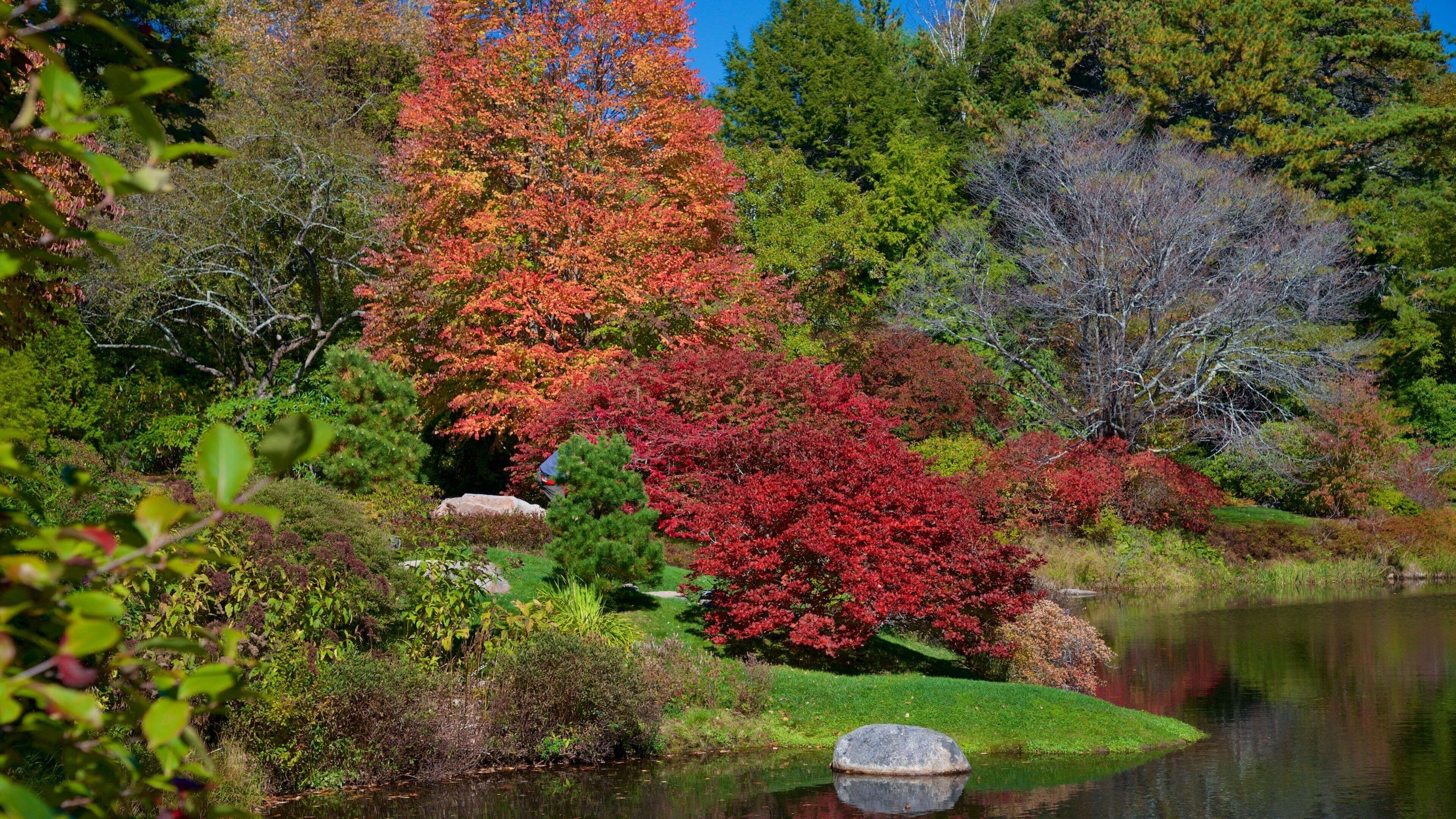 A pond surrounded by autumn foliage with red and orange trees.