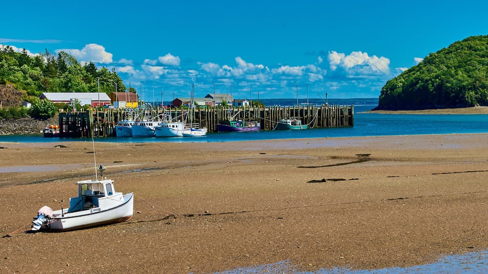 Lobster Trawlers at low tide near Sandy Cove, Nova Scotia Canada.