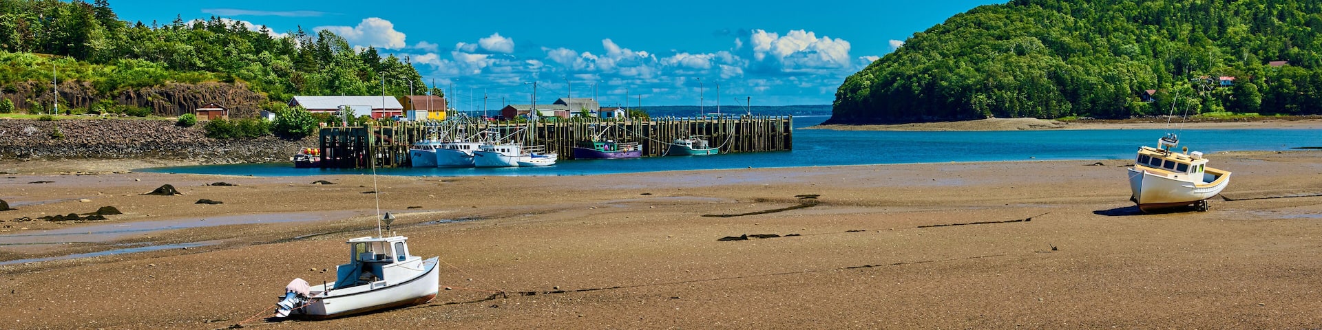 Lobster Trawlers at low tide near Sandy Cove, Nova Scotia Canada.