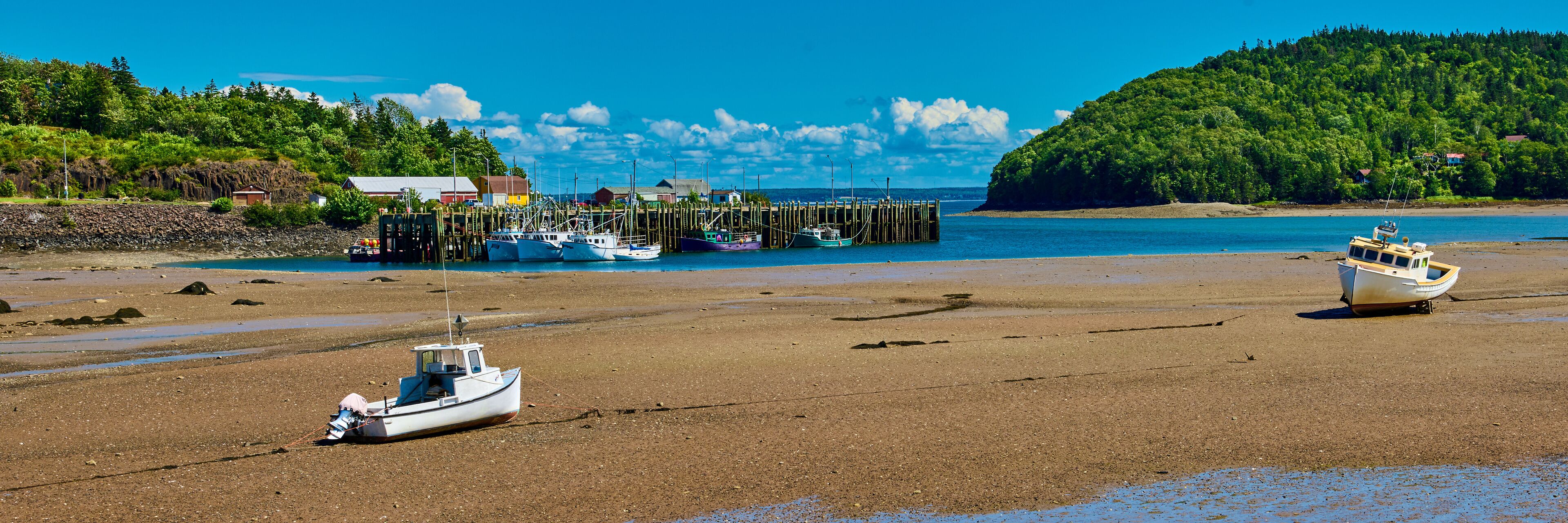 A beach with boats, a wooden pier, and a forested hill.