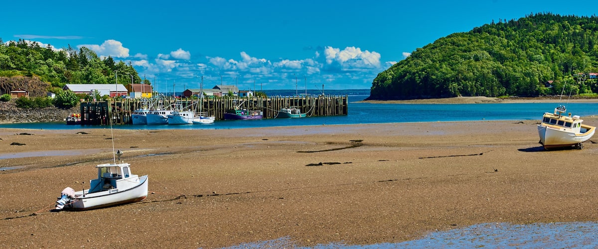 A beach with boats, a wooden pier, and a forested hill.