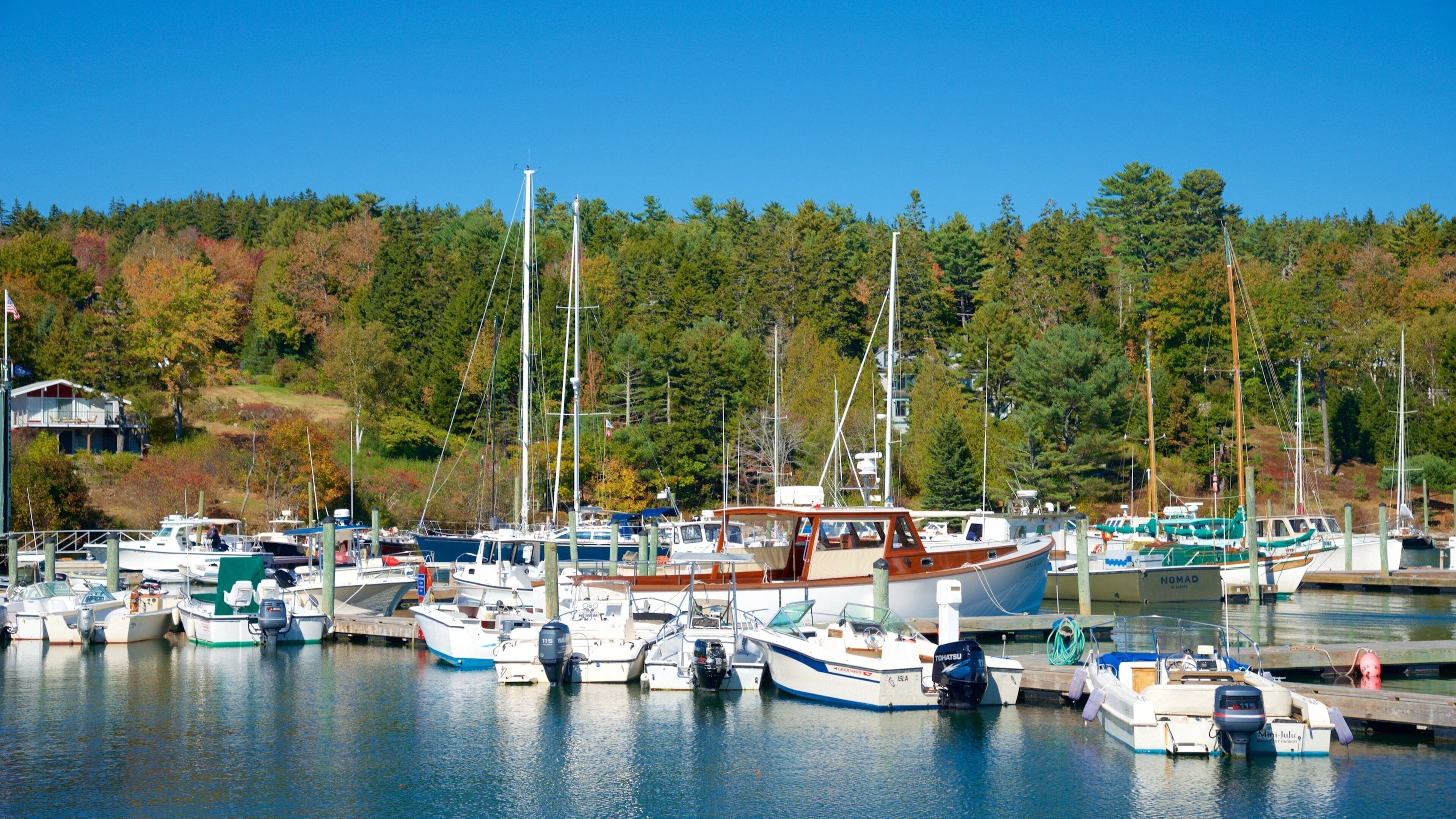 A marina with various boats docked, surrounded by a forested landscape.