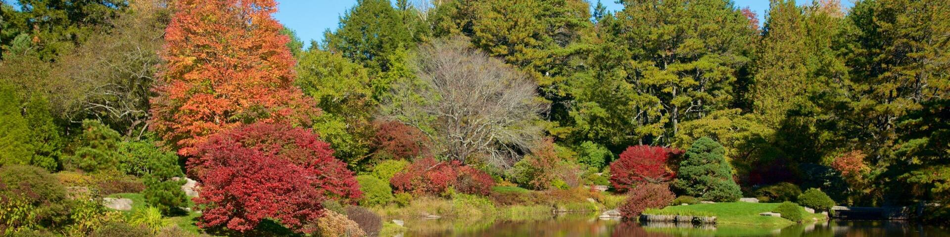 Northeast Harbor which includes autumn leaves, forests and a pond