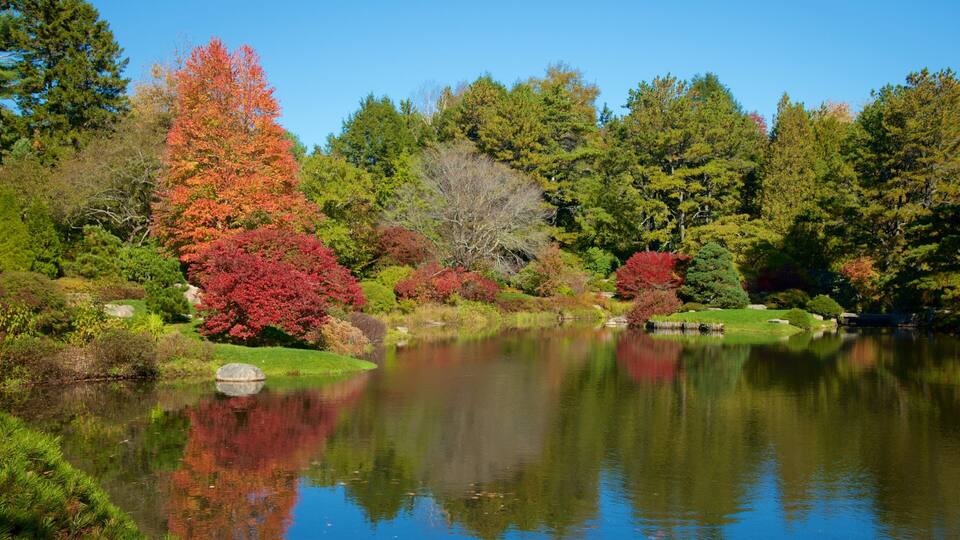 A serene pond surrounded by autumn-colored trees and lush greenery.