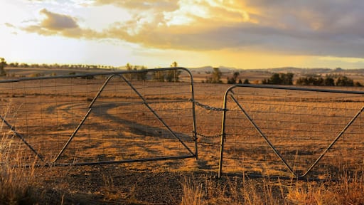 Thị trấn Gunnedah