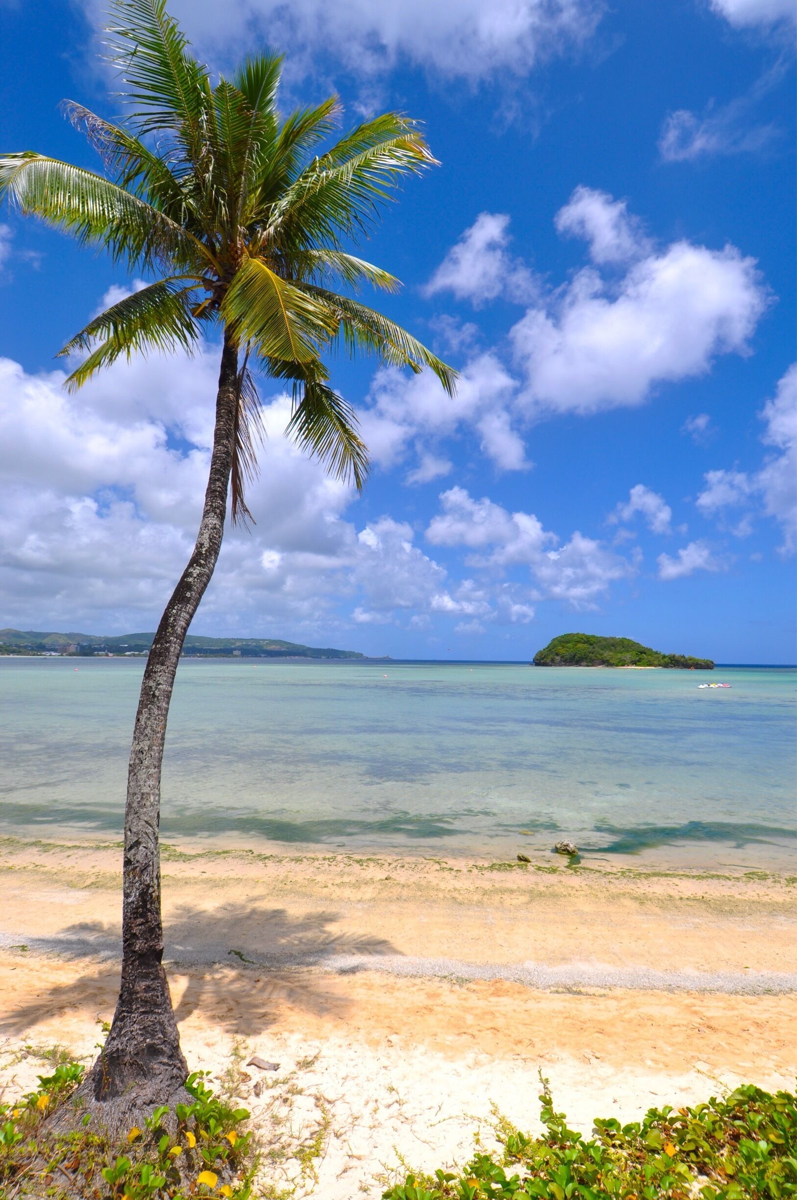 Agana Bay from Hotel Santa Fe, Guam
#AquaTrove