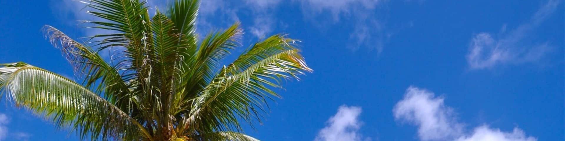 Agana Bay from Hotel Santa Fe, Guam
#AquaTrove