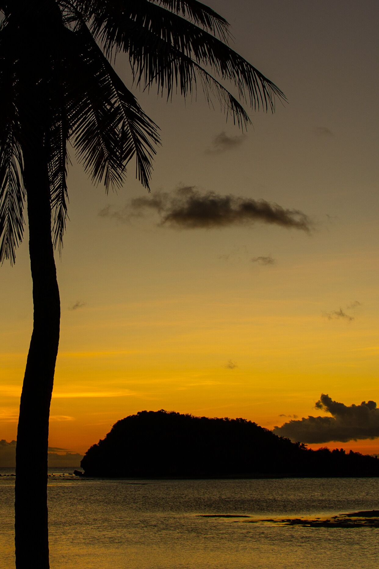 A sunset over a body of water with a silhouette of a landmass and a palm tree.
